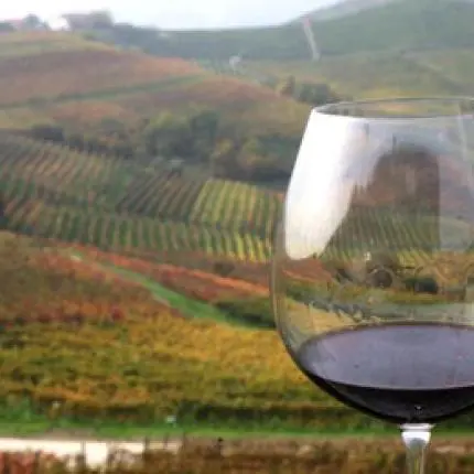 Photo: La Teca Ristorante 